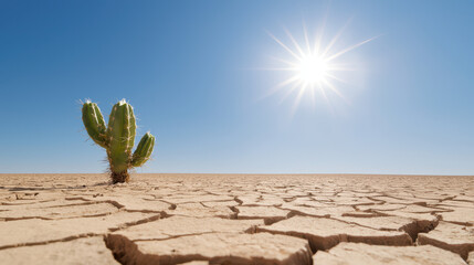 Vibrant cactus stands alone in dry, cracked landscape under bright sun, symbolizing resilience in harsh conditions