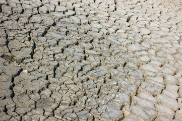 Close-up of cracked, dry earth