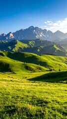 Lush mountain valley in sunlight