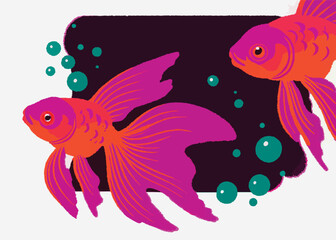 Illustration of goldfish swimming gracefully. Breeding. Freshwater fish. Pet. Breeding. Fish. Ornamental fish.