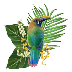 Tropical composition with bird watercolor hand paint