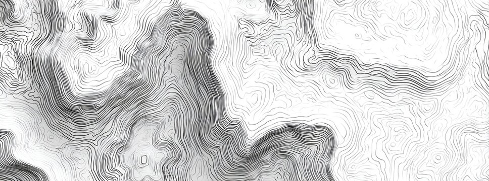 Abstract grayscale topographic map