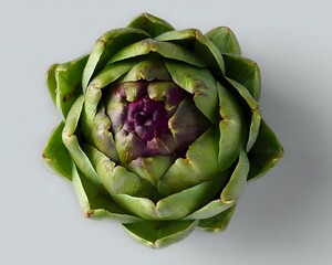 Fototapeta premium Fresh artichoke head with purple center and green leaves photographed from above on light gray background, isolated food ingredient for cooking and design.