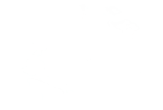  White cloud isolated on background, Realistic fluffy vapor texture for graphic design, digital overlay, sky effect, weather element, and creative photo editing resource