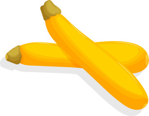 Healthy eating concept. Stylized illustration of yellow zucchini. Vector illustration.
