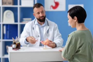 Obraz premium Gastroenterologist with model of stomach consulting woman in clinic, selective focus