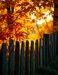 Obraz premium Rustic Wooden Fence, Glowing Fall Foliage, Fall Atmosphere