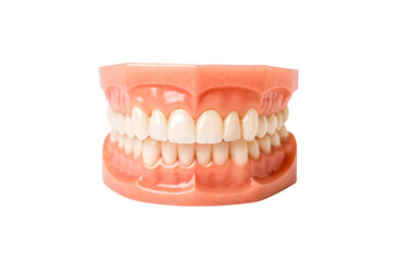 Obraz premium Complete denture set showing upper and lower dental plates with realistic gum coloring, isolated on a transparent background