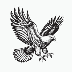 eagle in flight
