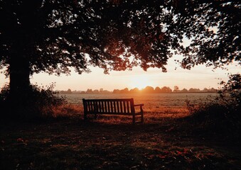 Empty park bench at sunrise, autumnal hues