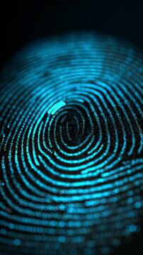 A glowing digital fingerprint scan. Concept for cybersecurity, biometric authentication, data protection, and the future of personal identity.