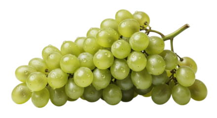 Fresh green grapes with water droplets on each berry for healthy snacking and cooking ideas, transparent background, cutout PNG