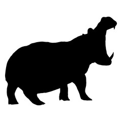 Hippopotamus silhouette. Hippo Hippopotamus amphibius. Wild animal of Africa. realistic vector