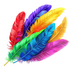 Vibrant colorful feathers