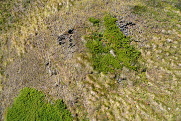 A steep mountainside covered with shrubs and having a natural texture.