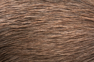 Brown fur of capybara photographed in close detail, highlighting the natural texture and pattern of this large rodent’s coat.