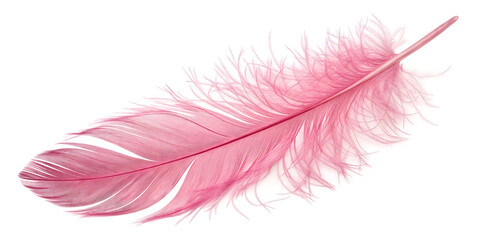 Obraz premium Wooden box isolated on transparent background 