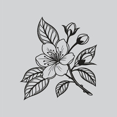 Camellia Elegant Botanical Wall Art Drawings
