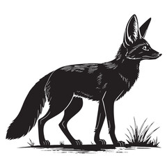 black desert fox Silhouette Vector, High Quality Illustration on White Background