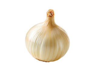 Fototapeta premium Fresh onion bulb isolated on transparent background, Clipart png