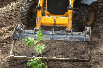 Front bucket of bulldozer on dirt site approaches small green tree branch close-up, bulldozer bucket clearing vegetation at construction