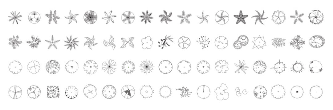 Top View Vector Icons of Trees and Plants for Floor Plan and Architectural Design Projects	