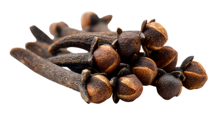dried clove spices isolated on white background, HD realistic