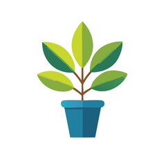 Isolated plant with green leaves in a blue pot. Concept of growth, nature, gardening, decoration.