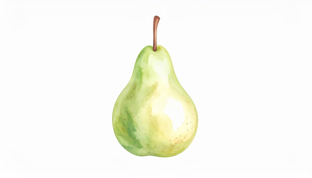 やさしい色合いで描かれた洋ナシの水彩イラスト – Watercolor Illustration of a Pear in Soft Natural Colors