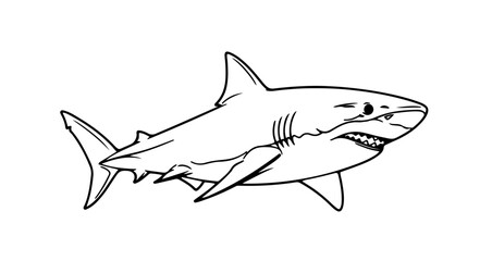 Great white shark drawing illustration vector image for coloring pages and educational resources design art