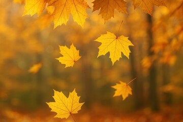 Golden autumn leaves falling gracefully.