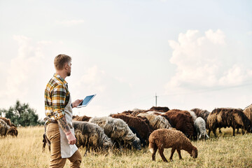 Modern farmer connecting with his livestock in the tranquil countryside at sunset