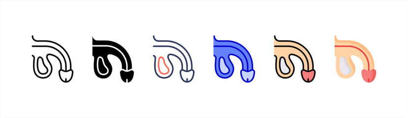 Obraz premium Penis icon set multiple style collection.