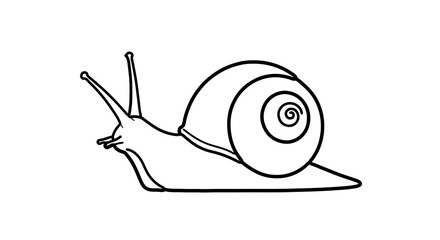 Snail vector drawing outline illustration mollusk gastropod animal nature wildlife garden slow moving slug like creature
