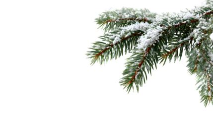 Christmas snow-covered fir tree branch with blurred bokeh lights isolated on white background, HD realistic