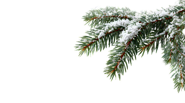 Christmas snow-covered fir tree branch with blurred bokeh lights isolated on white background, HD realistic