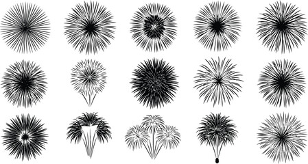 Obraz premium Celebrate with stunning fireworks displays for any occasion