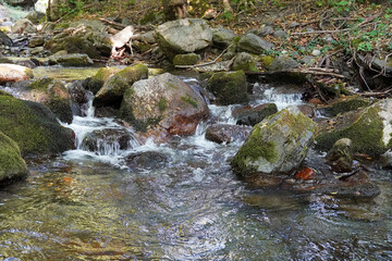 stones rocks nature trees river water waterfall landscape forest mountain