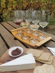 Close-up of a wine tasting flight with a variety of glasses on a rustic wooden tray, accompanied by a cheese and cracker platter