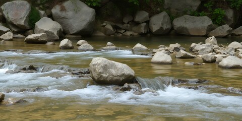 Clear mountain stream flowing over smooth rocks and pebbles in a natural forest setting