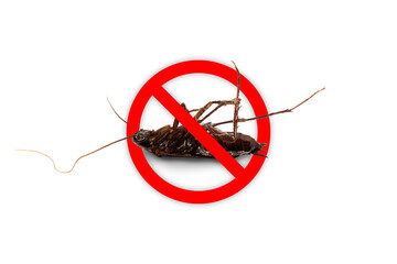 Dead cockroach inside prohibition symbol isolated on transparent background