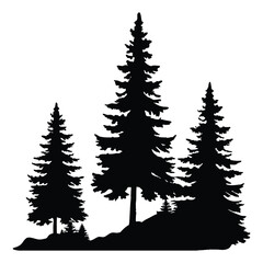 Obraz premium Three tall fir trees create a dark silhouette against white background with transparent background