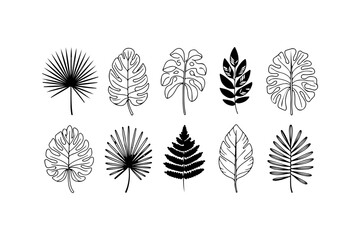 set of leaf vcetor icon on white background