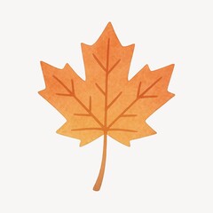 Obraz premium Vibrant autumn maple leaf illustration.