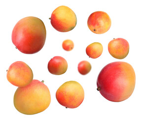 Sweet mango fruits swirling in air against white background