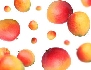 Sweet mango fruits swirling in air against white background
