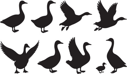 Obraz premium Silhouette Geese Vector Illustration Set of Waterfowl Bird Silhouettes