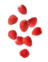 Fresh ripe wild strawberries falling against white background