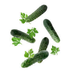 Fresh cucumbers and parsley falling against white background