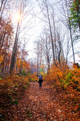 Obraz premium Beautiful autumn landscape with hiking woman, yellow trees and mountain trail